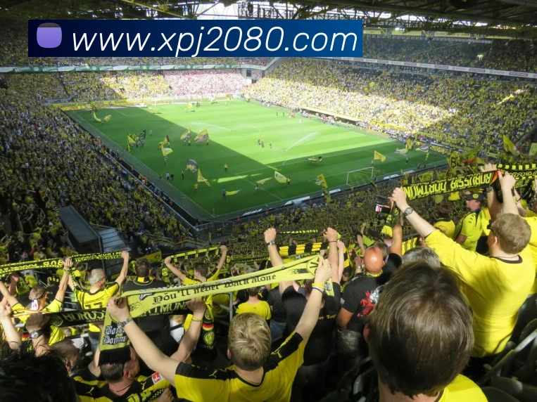 多媒体互动体验