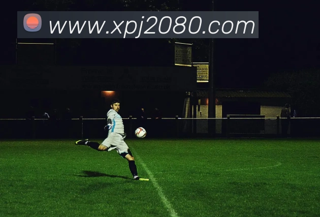 新葡京官网APP 高清赛事图